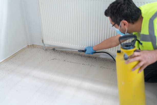 Best Flea Control Services  in Weigelstown, PA