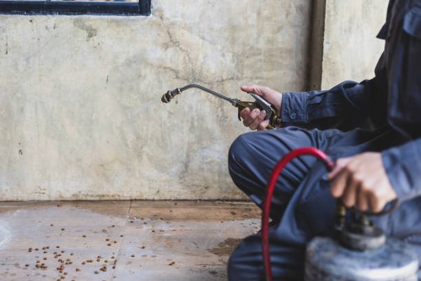 Best Pest Control Treatment  in Weigelstown, PA